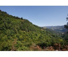 152.000m2 TERRENO RURAL EN SUNBILLA
