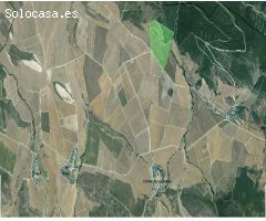 Se vende finca rustica de conjunto de cedulas parcelarias de 452.058 metros cuadrados en Izagondoa