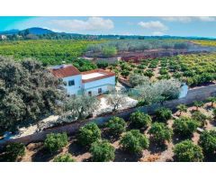 FINCA DE NARANJOS Y OLIVOS CON CASA EN NÁQUERA