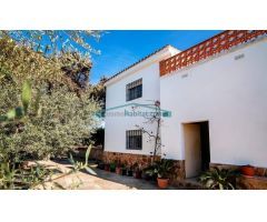 FINCA DE NARANJOS Y OLIVOS CON CASA EN NÁQUERA