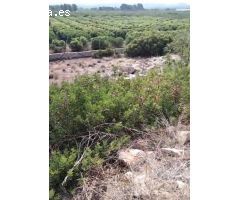 terreno urbano de 607m2 en Montroy, situado en la urbanización Balcón de Montroy!!
