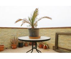 DUPLEX CON APARTAMENTO INDEPENDIENTE