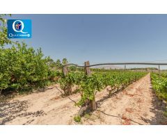 Parcela en Venta en Novelda, Alicante