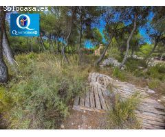 Parcela Rústica en Venta en Tibi, Alicante