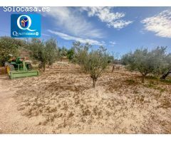 Parcela Rústica en Venta en Mutxamel, Alicante