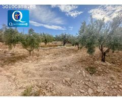 Parcela Rústica en Venta en Mutxamel, Alicante
