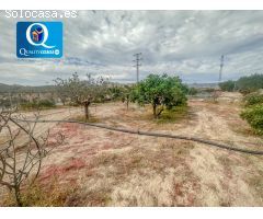 Parcela Rústica en Venta en Mutxamel, Alicante