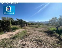 Casa en Venta en Novelda, Alicante