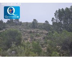 Parcela Rústica en Venta en Tibi, Alicante