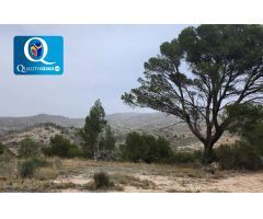 Parcela Rústica en Venta en Tibi, Alicante
