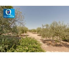 Casa en Venta en Crevillente, Alicante