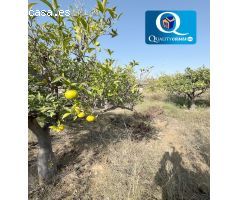 Chalet en Venta en Elche/Elx, Alicante