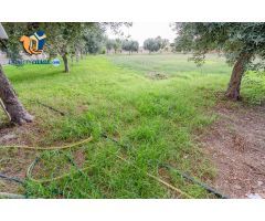 Chalet en Venta en Mutxamel, Alicante