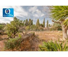 Chalet en Venta en San Vicente del Raspeig, Alicante
