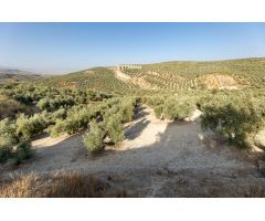 Terreno rural en Venta en Alfacar, Granada