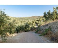 Terreno rural en Venta en Alfacar, Granada