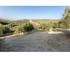 Terreno rural en Venta en Alfacar, Granada