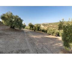 Terreno rural en Venta en Alfacar, Granada