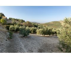 Terreno rural en Venta en Alfacar, Granada