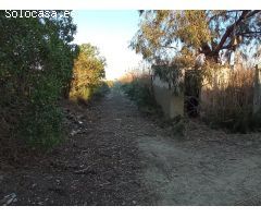 Finca Rustica en Ptda. el Molar San Fulgencio