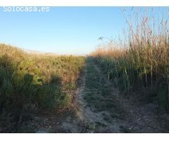 Finca Rustica en Ptda. el Molar San Fulgencio
