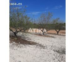 Terreno en Venta en Real de Gandía, Valencia