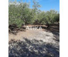 Terreno en Venta en Real de Gandía, Valencia