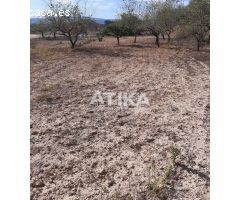 Terreno en Venta en Real de Gandía, Valencia