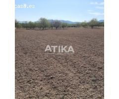 Terreno en Venta en Real de Gandía, Valencia