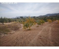 Terreno en Venta en Agullent, Valencia