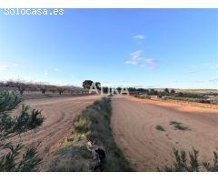 Terreno en Venta en Agullent, Valencia