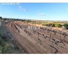 Terreno en Venta en Agullent, Valencia