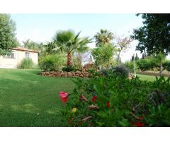 Chalet en Venta en Alhaurín de la Torre, Málaga