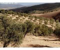 Finca en Venta en Sierra de Yeguas, Málaga