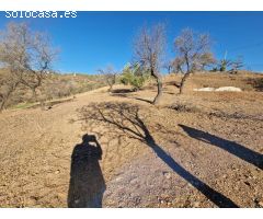 Chalet en Venta en Guaro, Málaga