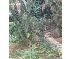 Chalet en Venta en Málaga del Fresno, Málaga
