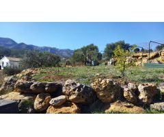 Finca rustica en Venta en Alhaurín de la Torre, Málaga