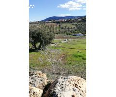 Finca rustica en Venta en Alhaurín de la Torre, Málaga