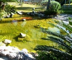 Chalet en Venta en Alhaurín de la Torre, Málaga