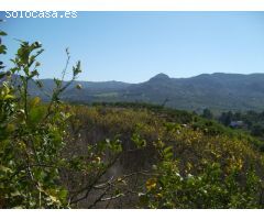 FINCA PARCELA ALORA MALAGA