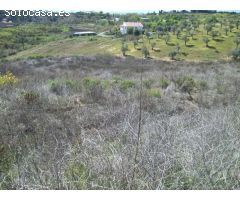 FINCA PARCELA ALORA MALAGA