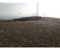 Finca en Venta en Cerralba, Málaga