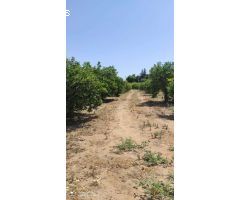 Finca rustica en Venta en Alhaurín el Grande, Málaga
