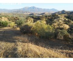 Finca rustica en Venta en Coín, Málaga