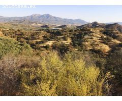 Finca rustica en Venta en Coín, Málaga
