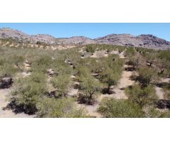 Finca en Venta en Alora, Málaga