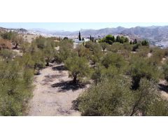 Finca en Venta en Alora, Málaga