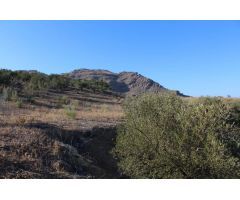 Finca en Venta en Alora, Málaga