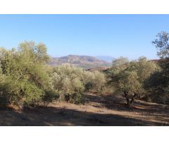 Finca en Venta en Alora, Málaga