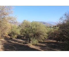 Finca en Venta en Alora, Málaga